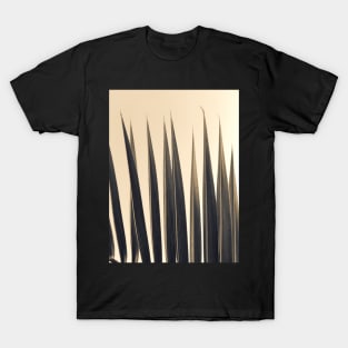 Palm leaf, soft colors photography T-Shirt